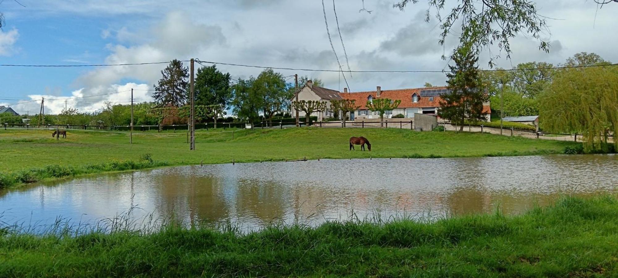 La Ferme Des Bigornes Hotel Châtillon-sur-Indre Buitenkant foto