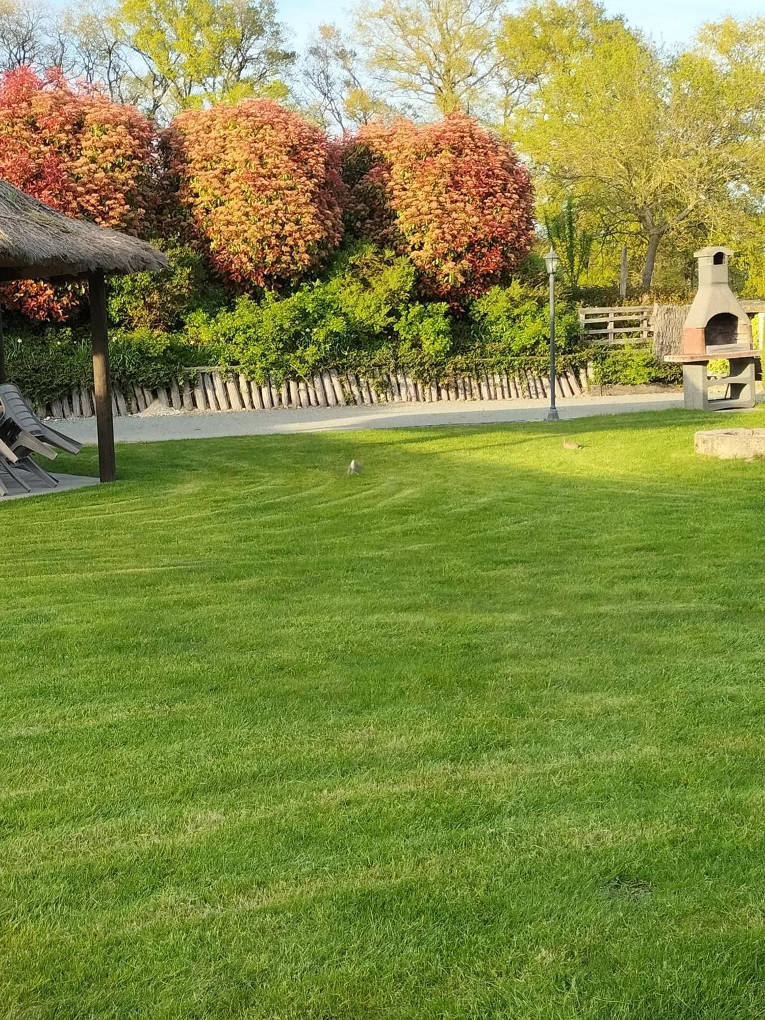 La Ferme Des Bigornes Hotel Châtillon-sur-Indre Buitenkant foto